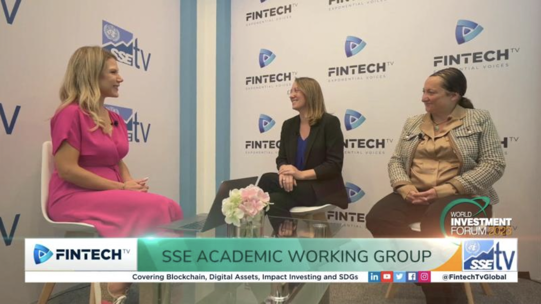 SSE Academic Working Group